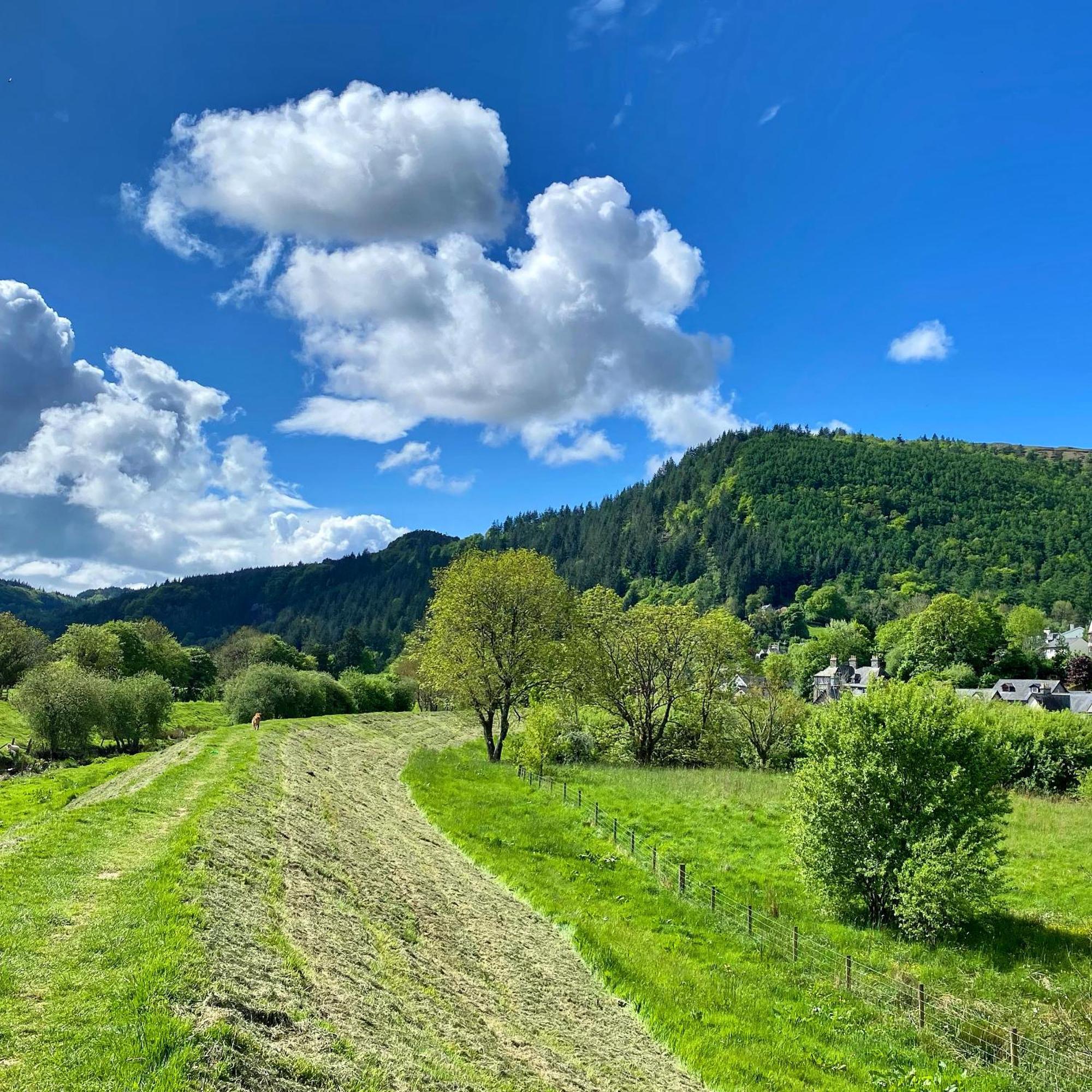 Crafnant House - Bed & Breakfast Trefriw Eksteriør bilde